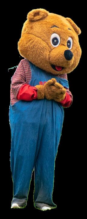 Vakantiepark De Sikkenberg - Main photo